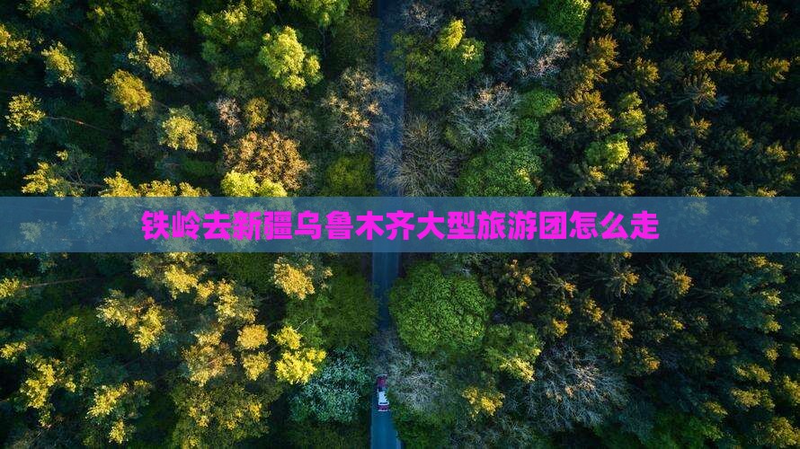 铁岭去新疆乌鲁木齐大型旅游团
