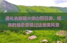 通化去新疆火焰山四日游