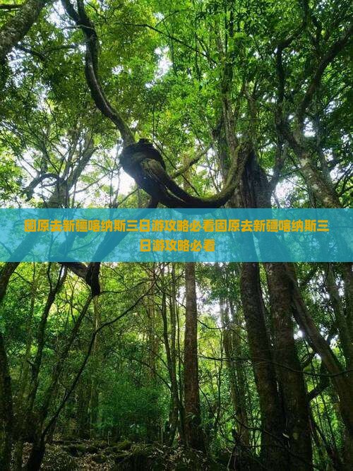 固原去新疆喀纳斯三日游