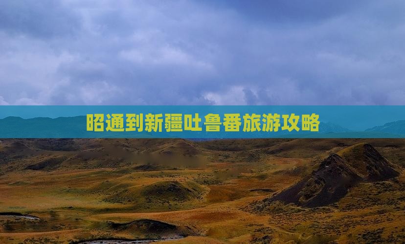 昭通到新疆吐鲁番自由团