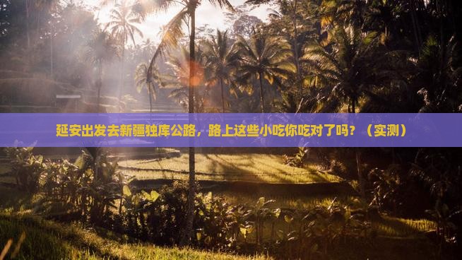 延安到新疆独库公路旅游小吃