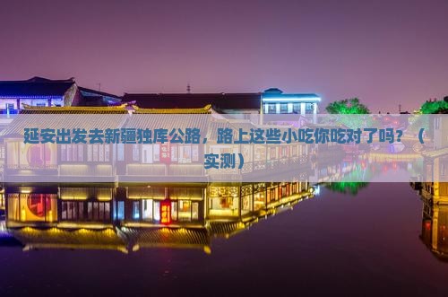 延安到新疆独库公路旅游小吃