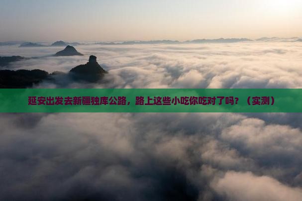延安到新疆独库公路旅游小吃