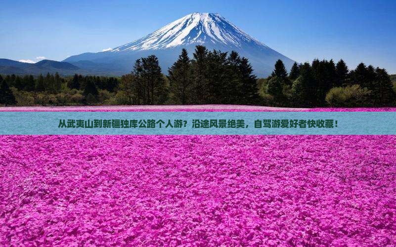 从武夷山到新疆独库公路个人游？沿途风景绝美，自驾游爱好者快收藏！