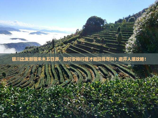 银川出发新疆禾木五日游，如何安排行程才能玩得尽兴？避开人潮攻略！