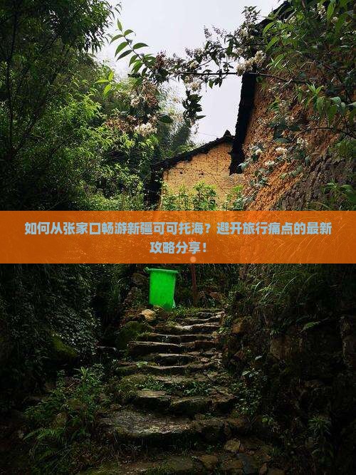 如何从张家口畅游新疆可可托海？避开旅行痛点的最新攻略分享！