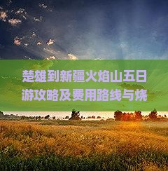 楚雄到新疆火焰山五日游攻略及费用路线与烧烤体验