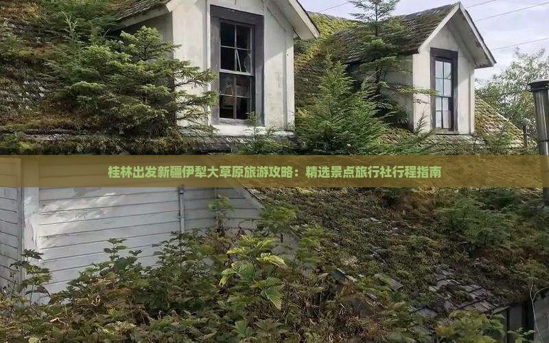 桂林出发新疆伊犁大草原旅游攻略：精选景点旅行社行程指南