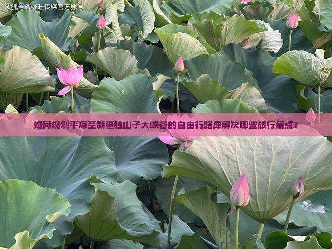 如何规划平凉至新疆独山子大峡谷的自由行路犀解决哪些旅行痛点？