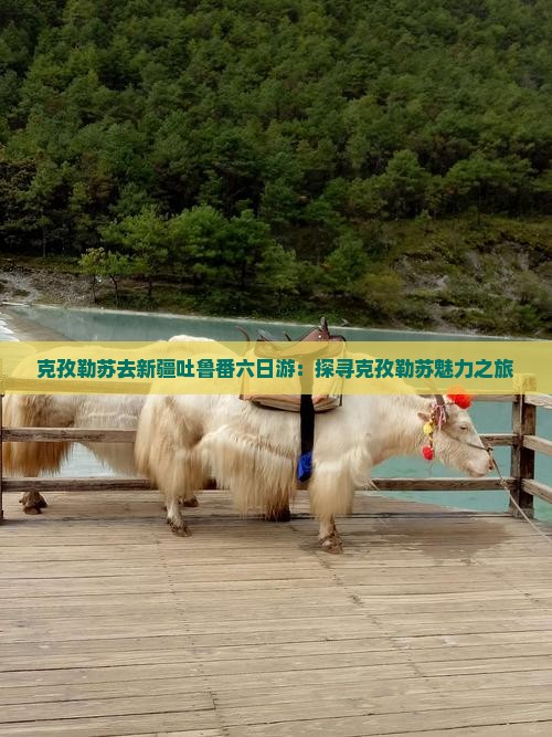 克孜勒苏去新疆吐鲁番六日游：探寻克孜勒苏魅力之旅