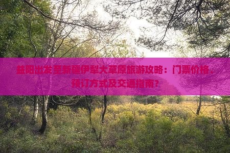益阳出发至新疆伊犁大草原旅游攻略：门票价格、预订方式及交通指南？