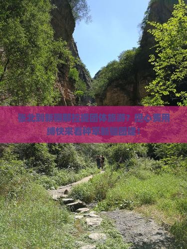 张北到新疆那拉提团体旅游？担心费用缚快来看种草新疆团建！