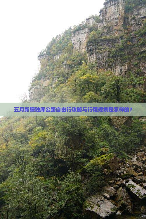 五月新疆独库公路自由行攻略与行程规划是怎样的？