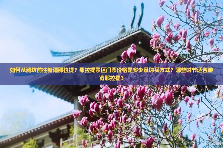 如何从潍坊前往新疆那拉提？那拉提景区门票价格是多少及购买方式？哪些时节适合游览那拉提？