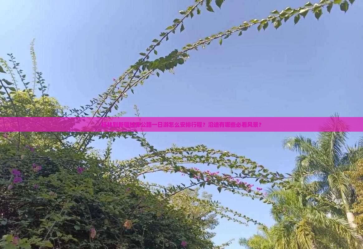桂林到新疆独库公路一日游怎么安排行程？沿途有哪些必看风景？