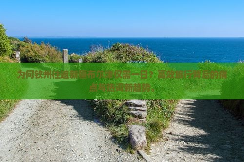 为何钦州往返新疆布尔津仅需一日？高效旅行背后的痛点与热词新趋势。