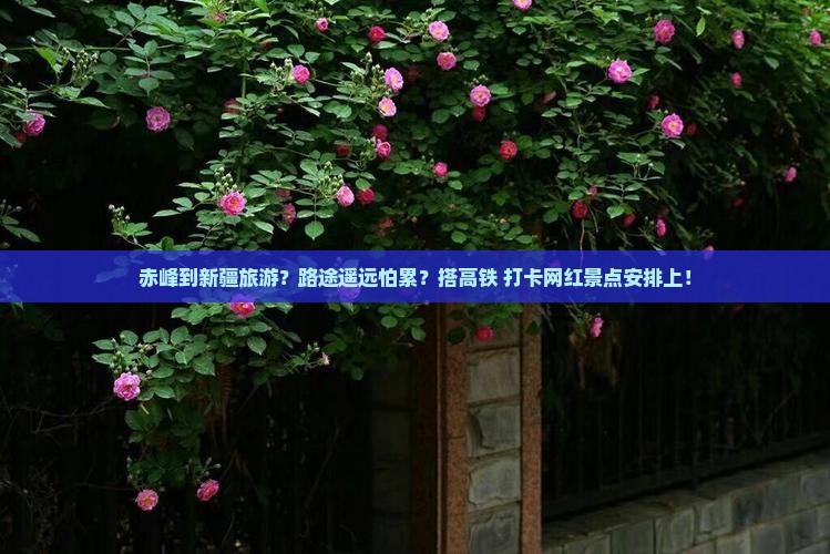 赤峰到新疆旅游？路途遥远怕累？搭高铁+打卡网红景点安排上！