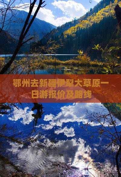 鄂州去新疆伊犁大草原一日游报价及路线