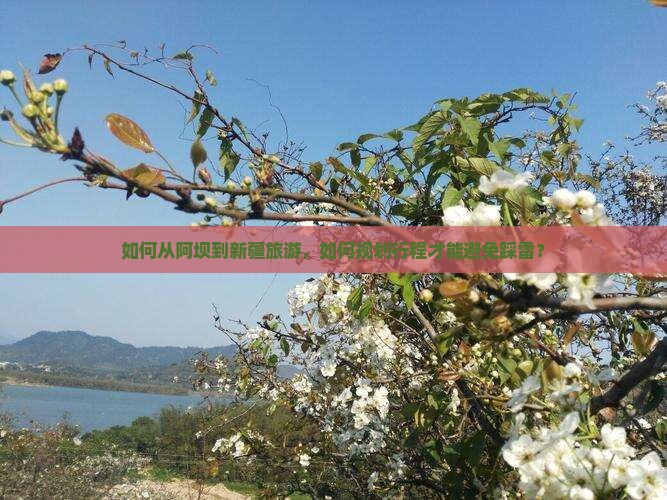 如何从阿坝到新疆旅游，如何规划行程才能避免踩雷？