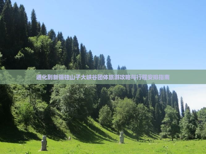 通化到新疆独山子大峡谷团体旅游攻略与行程安排指南