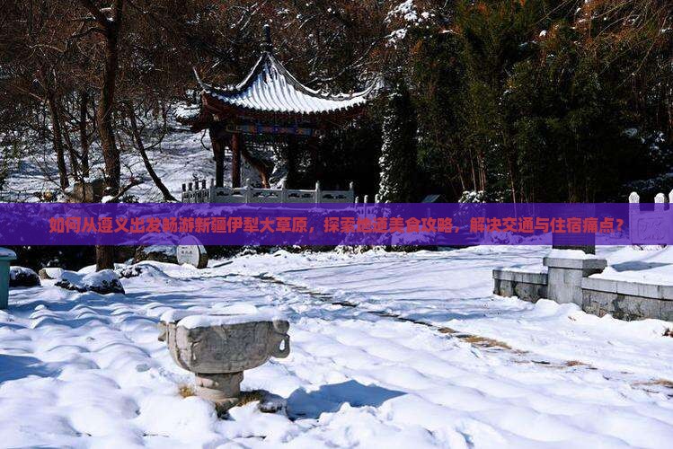 如何从遵义出发畅游新疆伊犁大草原，探索地道美食攻略，解决交通与住宿痛点？