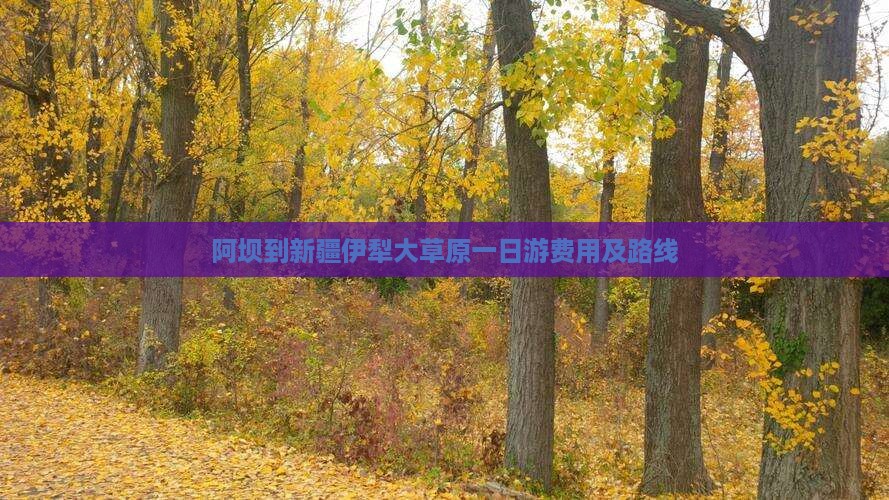 阿坝到新疆伊犁大草原一日游费用及路线