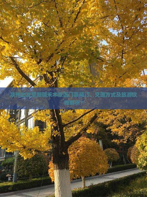 泉州出发至新疆禾木景区门票预订、交通方式及旅游攻略解析？