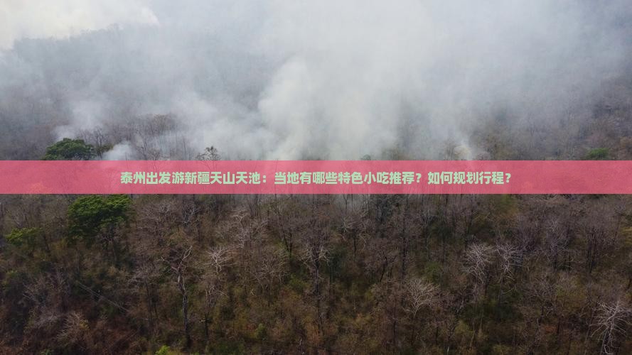 泰州出发游新疆天山天池：当地有哪些特色小吃推荐？如何规划行程？