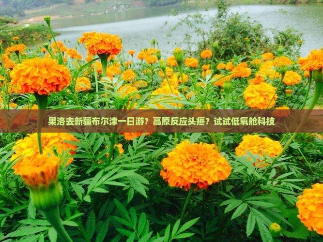 果洛去新疆布尔津一日游？高原反应头疼？试试低氧舱科技