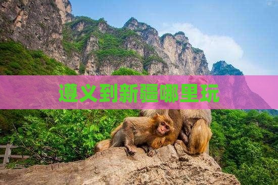 遵义到新疆哪里玩