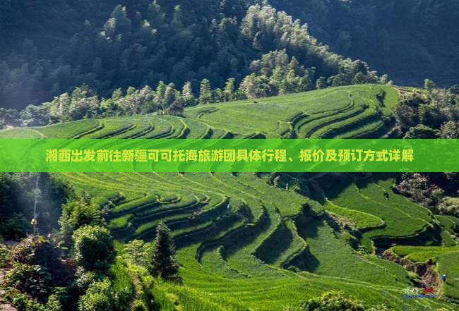 湘西出发前往新疆可可托海旅游团具体行程、报价及预订方式详解