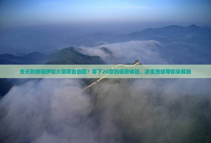 冬天到新疆伊犁大草原自由团？零下20度的极致体验，冰雪奇缘等你来解锁