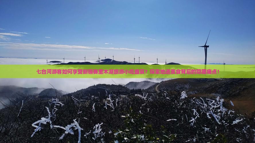 七台河游客如何享受新疆赛里木湖旅游小吃盛宴？探索地道美食背后的隐藏痛点！
