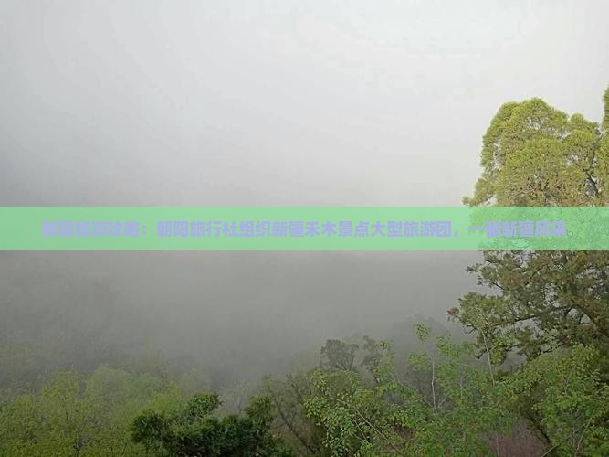 新疆旅游攻略：朝阳旅行社组织新疆禾木景点大型旅游团，一睹新疆风采