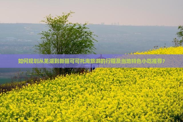 如何规划从芜湖到新疆可可托海旅游的行程及当地特色小吃推荐？