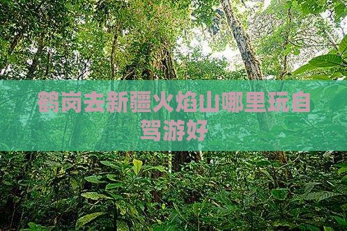 鹤岗去新疆火焰山哪里玩自驾游好