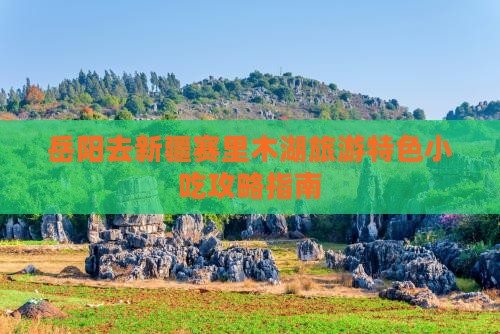 岳阳去新疆赛里木湖旅游特色小吃攻略指南