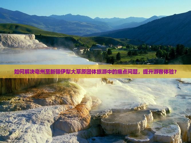 如何解决亳州至新疆伊犁大草原团体旅游中的痛点问题，提升游客体验？