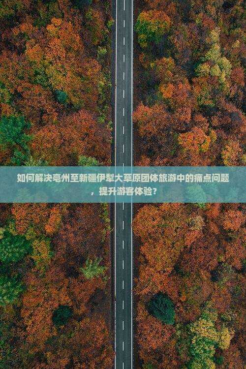 如何解决亳州至新疆伊犁大草原团体旅游中的痛点问题，提升游客体验？