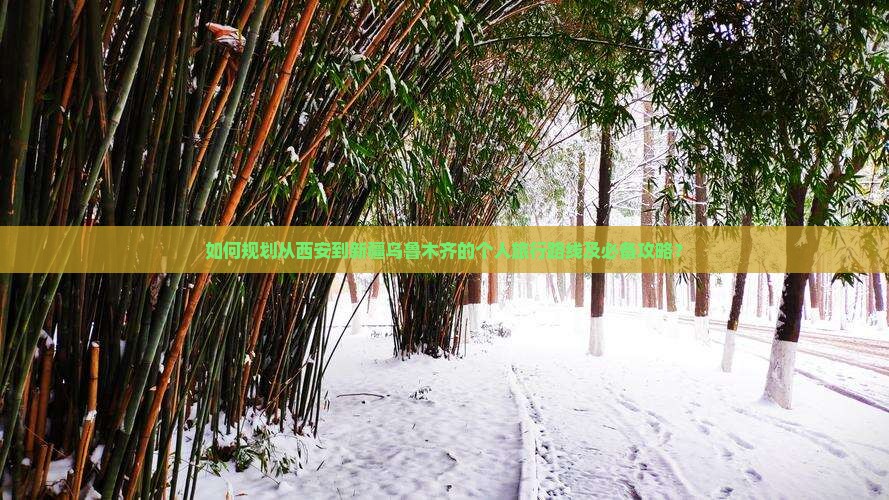 如何规划从西安到新疆乌鲁木齐的个人旅行路线及必备攻略？
