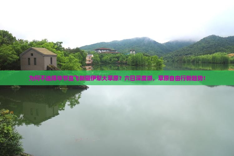 为何不选择毕节直飞新疆伊犁大草原？六日深度游，草原自由行新趋势！