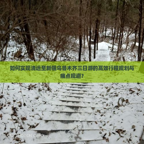 如何实现清远至新疆乌鲁木齐三日游的高效行程规划与痛点规避？