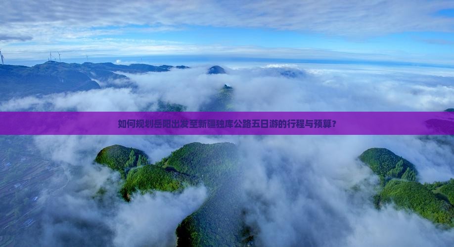 如何规划岳阳出发至新疆独库公路五日游的行程与预算？