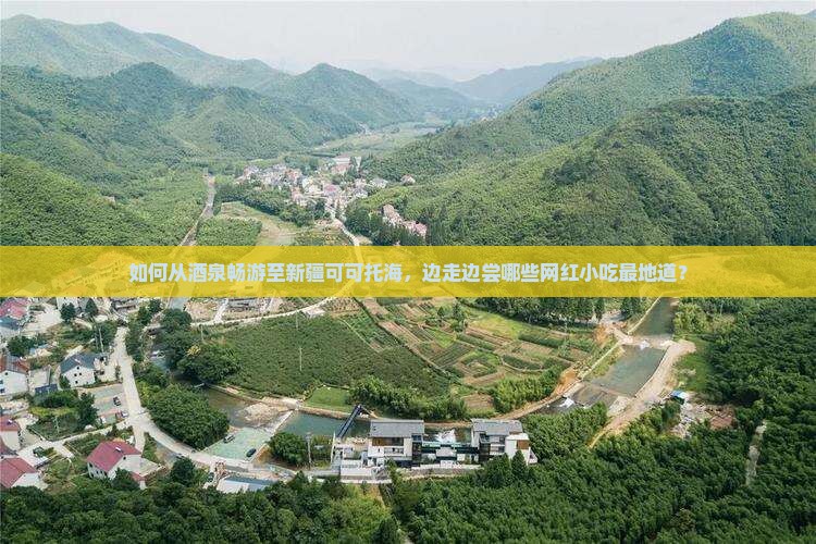 如何从酒泉畅游至新疆可可托海，边走边尝哪些网红小吃最地道？