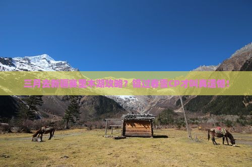 三月去新疆赛里木湖攻略？错过春雪CP才叫真遗憾！