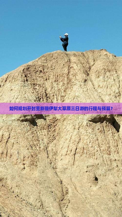 如何规划开封至新疆伊犁大草原三日游的行程与预算？