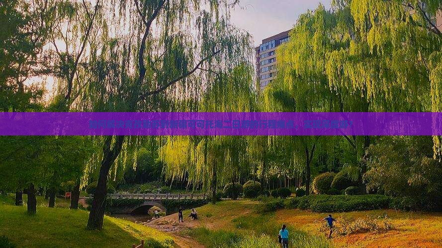 如何解决克孜勒苏到新疆可可托海二日游的行程痛点，实现深度游？
