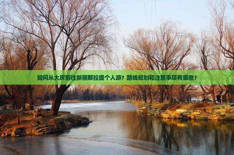 如何从大庆前往新疆那拉提个人游？路线规划和注意事项有哪些？