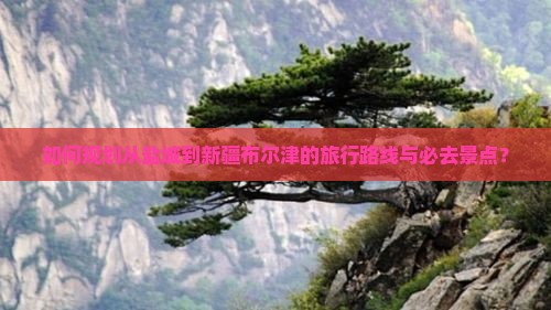 如何规划从盐城到新疆布尔津的旅行路线与必去景点？