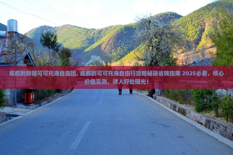 成都到新疆可可托海自由团